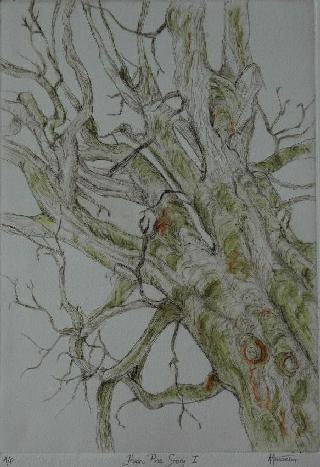Huon Story I